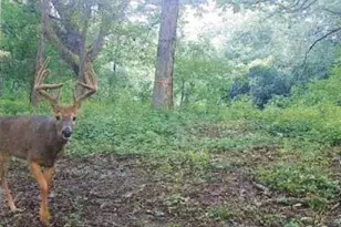 S2901 Semling Ln, Fountain City, WI 54629 - Photo 94