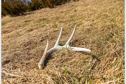 S2901 Semling Lane, Fountain City, WI 54629 - Photo 48