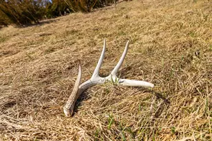 S2901 Semling Ln, Fountain City, WI 54629 - Photo 48