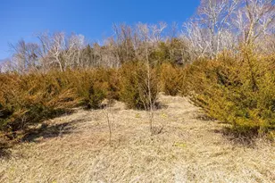 S2901 Semling Ln, Fountain City, WI 54629 - Photo 96