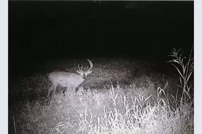 S2901 Semling Lane, Fountain City, WI 54629 - Photo 68