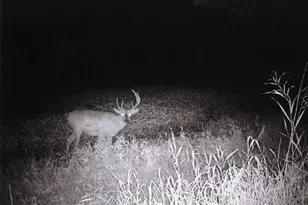 S2901 Semling Ln, Fountain City, WI 54629 - Photo 68