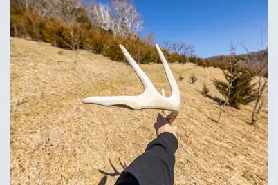 S2901 Semling Lane, Fountain City, WI 54629 - Photo 76