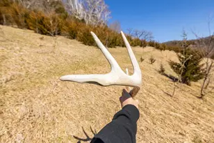 S2901 Semling Ln, Fountain City, WI 54629 - Photo 76