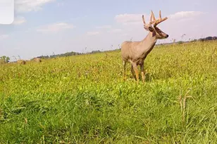 34473 Co Hwy 143, Bluffton, MN 56518 - Photo 48