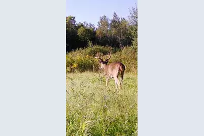 34473 County Highway 143, Bluffton, MN 56518 - Photo 52