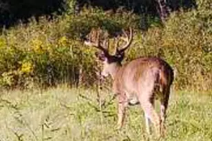 34473 Co Hwy 143, Bluffton, MN 56518 - Photo 52