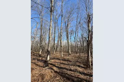Tbd Woodchuck Trail, Cushing, MN 56443 - Photo 4