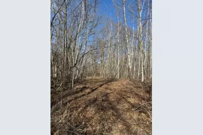 Tbd Woodchuck Trail, Cushing, MN 56443 - Photo 4
