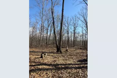 Tbd Woodchuck Trail, Cushing, MN 56443 - Photo 6