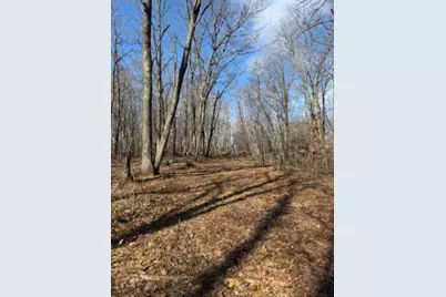 Tbd Woodchuck Trail, Cushing, MN 56443 - Photo 1