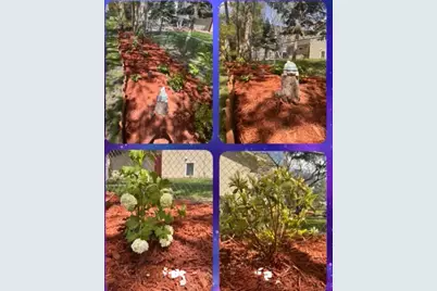 8893 Griggs Avenue, Circle Pines, MN 55014 - Photo 32