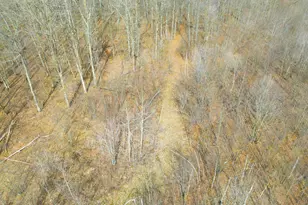 3298 Harbor St, Isle, MN 56342 - Photo 48