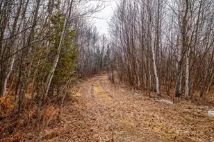 7634 Saint Peter Ln NW, Puposky, MN 56667 - Photo 102