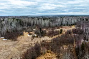 7634 Saint Peter Ln NW, Puposky, MN 56667 - Photo 50