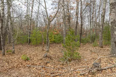 Lot 4 S Madison Avenue, Wascott, WI 54838 - Photo 6