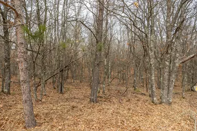 Lot 6 S Madison Avenue, Wascott, WI 54838 - Photo 8