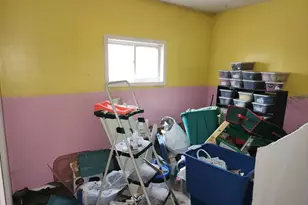 16305 680th Street S, Dodge Center, MN 55927 - Photo 14