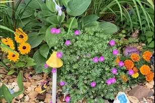 44 Harmony Dr, Esko, MN 55733 - Photo 40