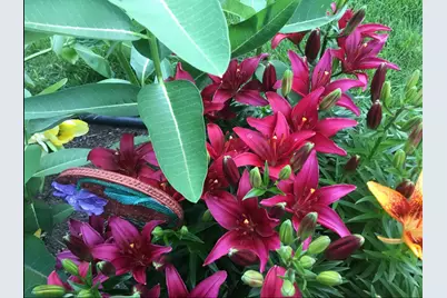 44 Harmony Drive, Esko, MN 55733 - Photo 42