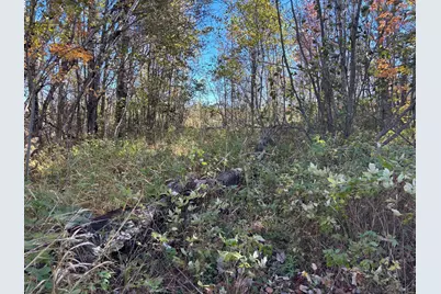 28532 460th Lane, Palisade, MN 55760 - Photo 10