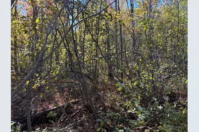 28532 460th Lane, Palisade, MN 55760 - Photo 12