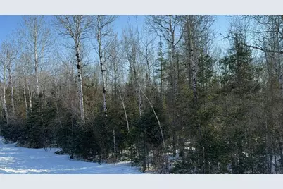 Xxx Highway 12, Two Harbors, MN 55616 - Photo 10
