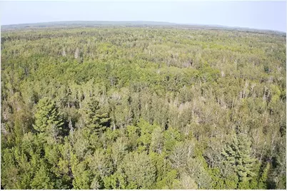 Xxx Highway 12, Two Harbors, MN 55616 - Photo 26