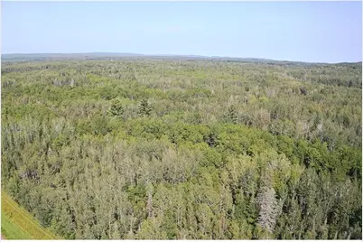 Xxx Highway 12, Two Harbors, MN 55616 - Photo 10