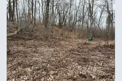 Tbd 460th Street, Gonvick, MN 56644 - Photo 46