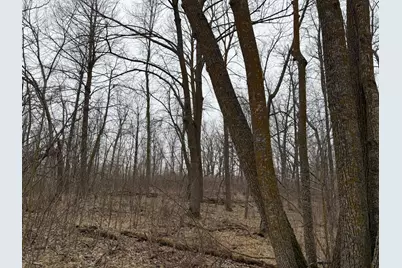 Tbd 460th Street, Gonvick, MN 56644 - Photo 48