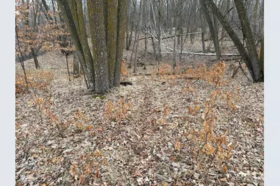 Tbd 460th Street, Gonvick, MN 56644 - Photo 38