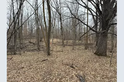 Tbd 460th Street, Gonvick, MN 56644 - Photo 52