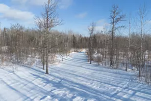 36466 Juniper Rd, Deer River, MN 56636 - Photo 16