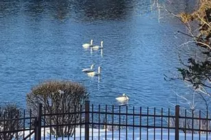 1128 Benton St, Anoka, MN 55303 - Photo 48