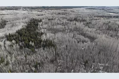 2785 County Road 962, Orr, MN 55771 - Photo 50