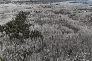 2785 Co Rd 962, Orr, MN 55771 - Photo 50