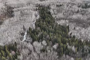 2785 Co Rd 962, Orr, MN 55771 - Photo 48