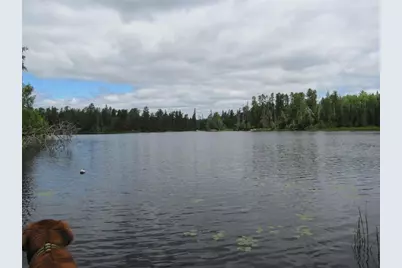 Unit 1 N Kelly Trail, Isabella, MN 55731 - Photo 28