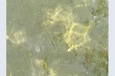 37106 Hackberry Point Road, Richville, MN 56576 - Photo 52