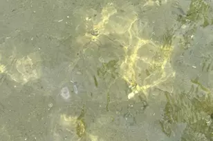 37106 Hackberry Point Rd, Richville, MN 56576 - Photo 52