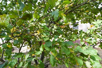 33806 220th Street, Mahnomen, MN 56557 - Photo 30