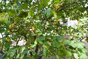 33806 220th St, Mahnomen, MN 56557 - Photo 30