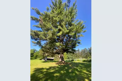 27333 Deep River Road, Lanesboro, MN 55949 - Photo 64