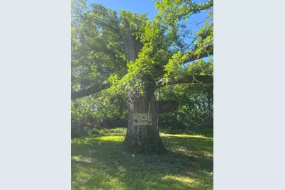 27333 Deep River Road, Lanesboro, MN 55949 - Photo 58