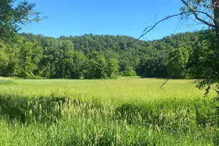 27333 Deep River Rd, Lanesboro, MN 55949 - Photo 1