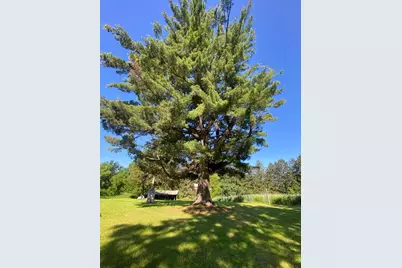 27333 Deep River Road, Lanesboro, MN 55949 - Photo 60