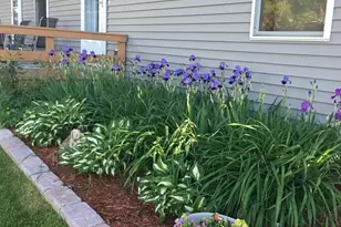 4243 Mill Lake Shores Rd SW, Farwell, MN 56327 - Photo 28