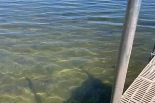 830 E Scharf Ave, Vergas, MN 56587 - Photo 8