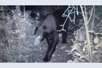 2732 State Highway 9, Ada, MN 56510 - Photo 28